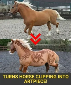 Artish Horse Clipping Stencil
