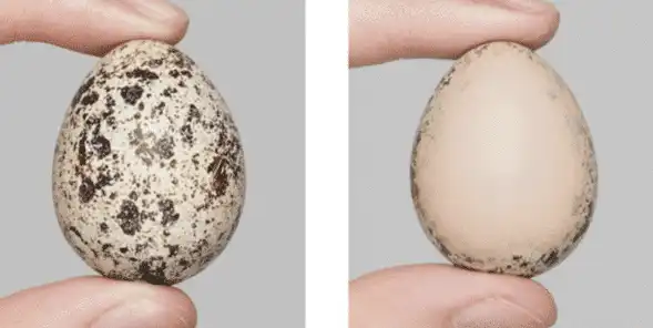 Voděodolný korektor s perfektním krytím - Image 3